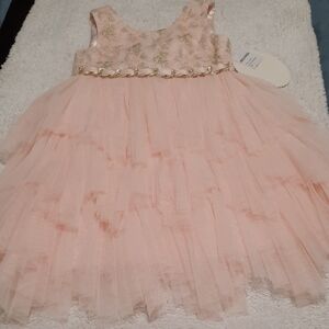 American Princess Blush Tulle Dress with Gold Accents